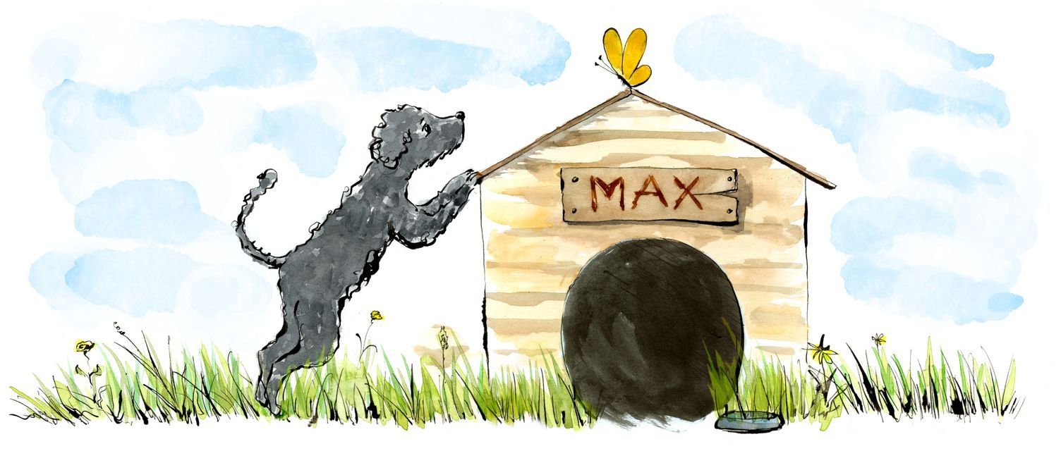 Whimsical Max